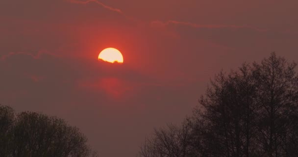 Rudé Slunce Při Západu Slunce Mezi Větvemi Stromů Pohybuje Mraky — Stock video