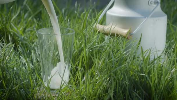 Mléko se nalévá do sklenice stojící v zelené trávě. Farma koncepce mléčných organických potravin a nápojů.