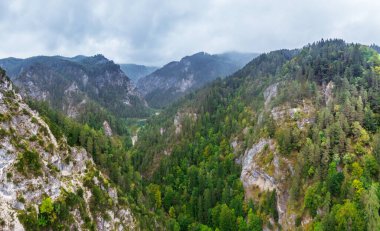 Aşağı Avusturya 'daki Otschergraben Kanyonu' nun güzel panoramik manzarası. Avusturya 'nın en iyi yürüyüş parkurları. Üst görüntü fotoğrafı.