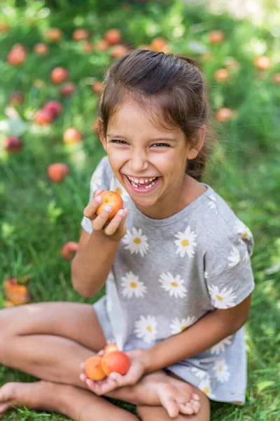 Ragazza Sta Tenendo Albicocche Mature Sotto Albero Albicocche Estate — Foto Stock