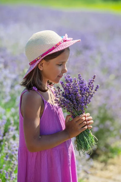 Portrait Little Girl Sniffing Flowers Lavender Field — Stock Photo, Image