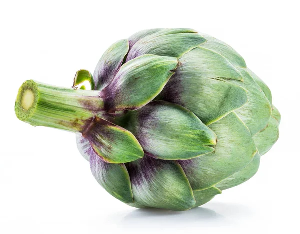 Fiore Carciofo Germoglio Commestibile Isolato Sfondo Bianco — Foto Stock