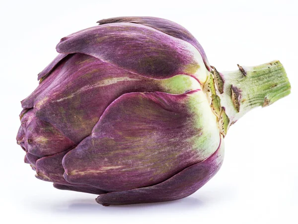 Artisjok Bloem Paars Eetbare Knop Geïsoleerd Witte Achtergrond — Stockfoto