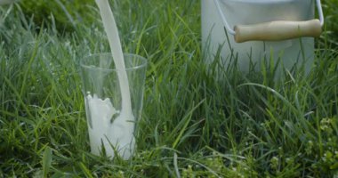 Yeşil çimlerin üzerinde duran bir bardağa süt dökülüyor. Çiftlik konsepti: Organik gıda ve içecek..