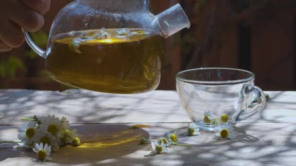 Chamomile Tea Poured Glass Cup Transparent Teapot Action Takes Place — Stock Video