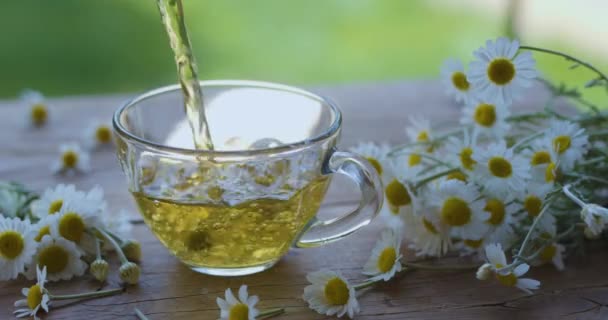 Thé Camomille Est Versé Dans Une Tasse Verre Partir Une — Video