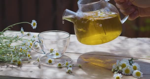 Chamomile Tea Poured Glass Cup Transparent Teapot Action Takes Place — Stock Video