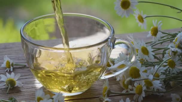 Chamomile Tea Poured Glass Cup Transparent Teapot Action Takes Place — Stock Video