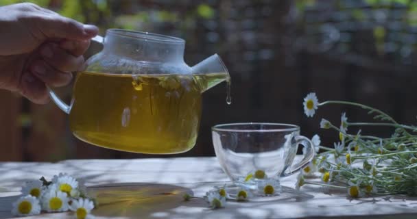 Chamomile Tea Poured Glass Cup Transparent Teapot Action Takes Place — Stock Video