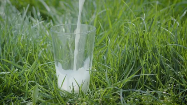 Γάλα Χύνεται Ένα Ποτήρι Στέκεται Στο Πράσινο Γρασίδι Γεωργική Έννοια — Αρχείο Βίντεο