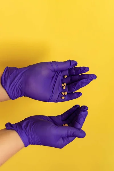 Woman Hands Purple Gloves Pill Tablets Her Hands Nurse Protection — Stock Photo, Image