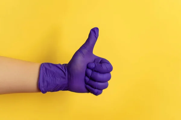 Female Hand Latex Faux Glove Shows Different Gestures Alternative House — Stock Photo, Image