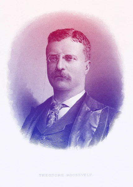 Theodore Roosevelt — Stock Fotó