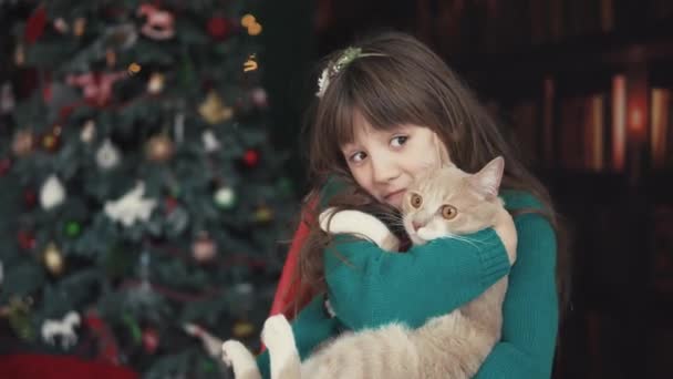 Porträtt av Kid flicka med katt — Stockvideo