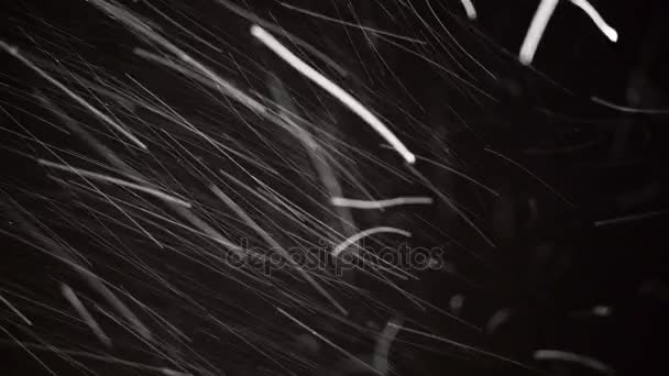 Falling Snow on Black Background — Stock Video