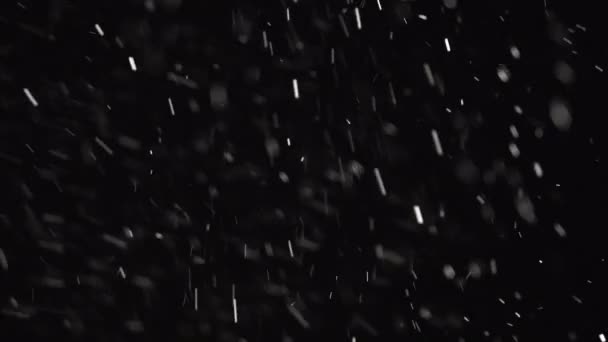 chute de neige sur fond noir