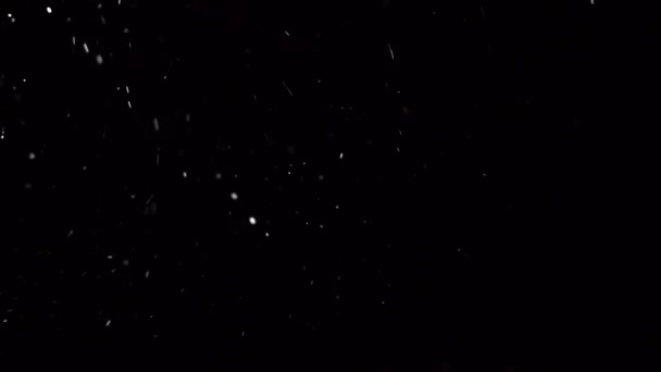 Falling Snow on Black Background — Stock Video