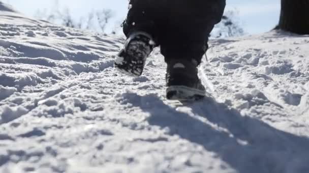 Jongen loopt in Winter Park — Stockvideo