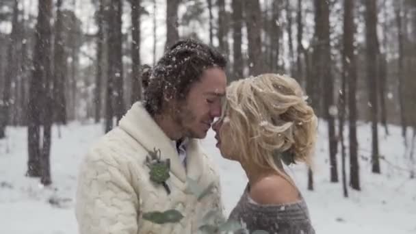 결혼식 한 쌍의 걷는 겨울 숲 — 비디오