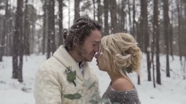 Forêt d'hiver Marche du couple de mariage — Video