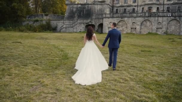 Pareja de boda caminando antes del castillo — Vídeos de Stock