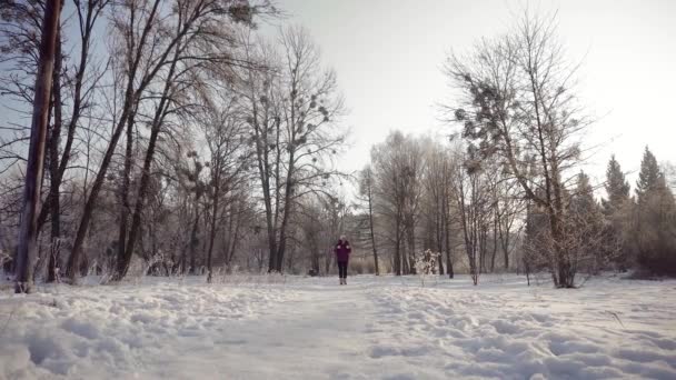 Женщина гуляет в зимнем парке — стоковое видео