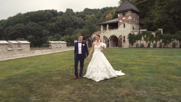 Pareja de boda caminando en el parque — Vídeos de Stock