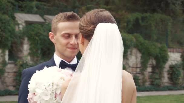 Hermosa pareja de boda — Vídeos de Stock