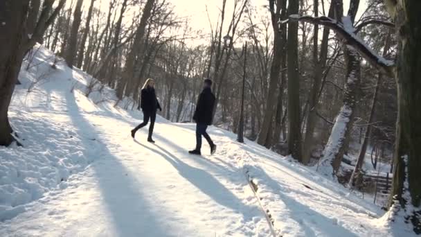 Un garçon rencontre une fille dans un parc d'hiver — Video