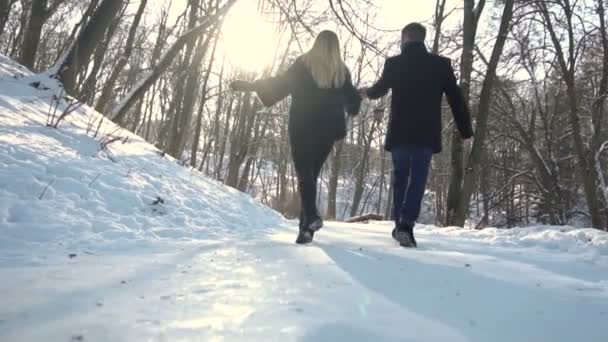 Mann und Frau spazieren im Winterpark — Stockvideo