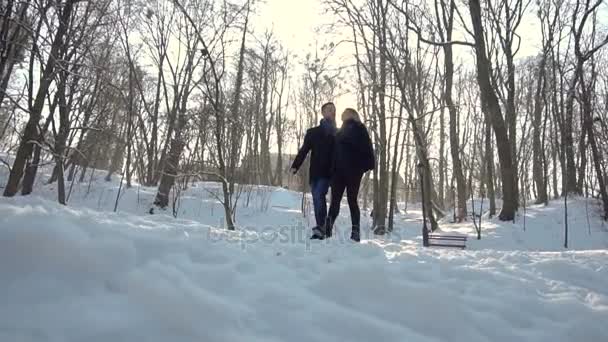 Homem e mulher caminham Parque de Inverno — Vídeo de Stock