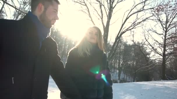 对年轻的夫妇在冬季公园散步 — 图库视频影像