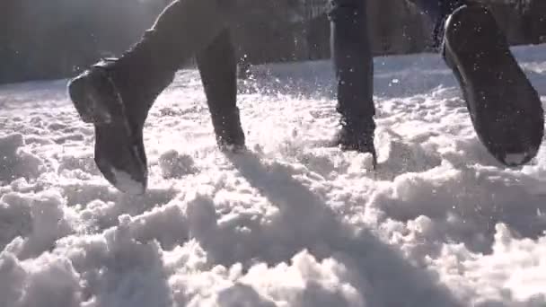 Pareja corriendo en Snow Park — Vídeos de Stock