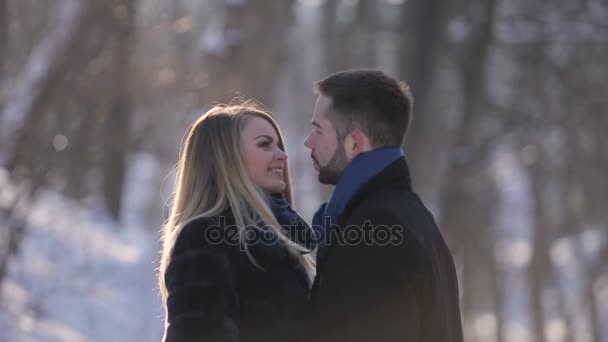 L'amore abbraccia nel parco invernale — Video Stock
