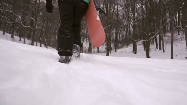 Snowboarder wandert Schneehang — Stockvideo