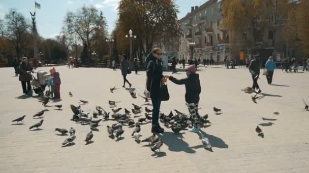Aile şehir güvercinler tohumlama — Stok video