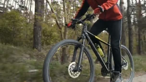 Motociclista en el bosque — Vídeo de stock