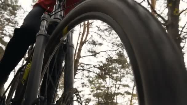 Motociclista na floresta — Vídeo de Stock