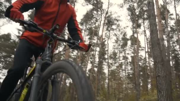 Motociclista en el bosque — Vídeo de stock