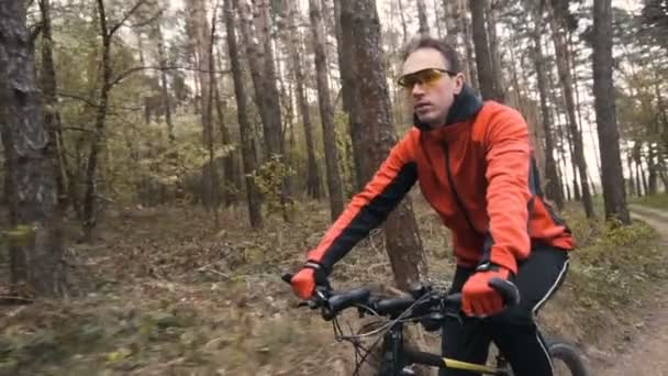Ποδηλάτης στο δάσος — Αρχείο Βίντεο