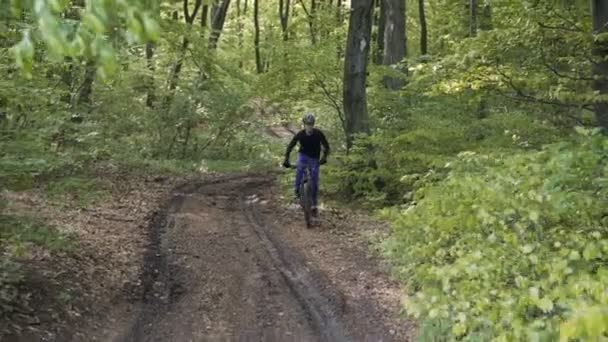 Чоловік їде велосипедом у лісі — стокове відео