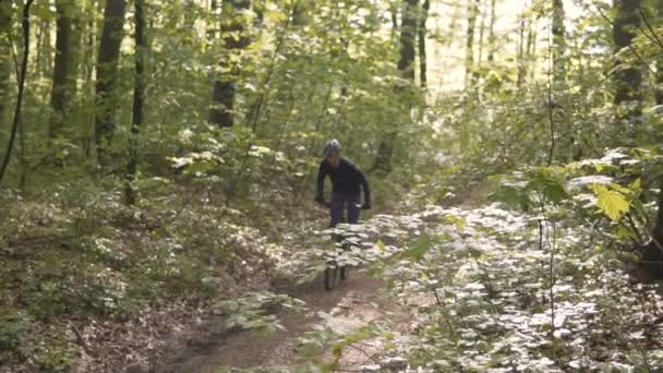 Человек ездит на велосипеде в лесу — стоковое видео
