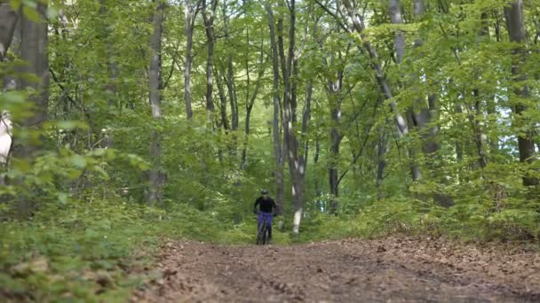 Hombre monta bicicleta en el bosque — Vídeos de Stock
