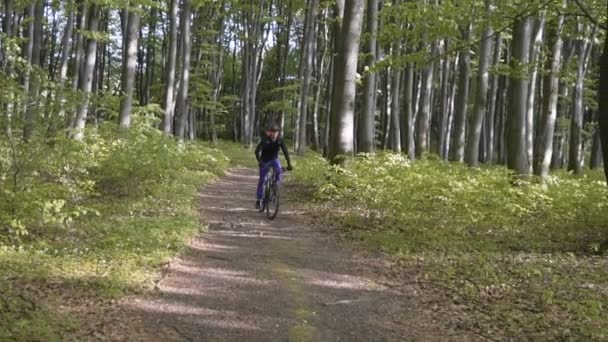 森でバックパックの男の乗り物自転車 — ストック動画