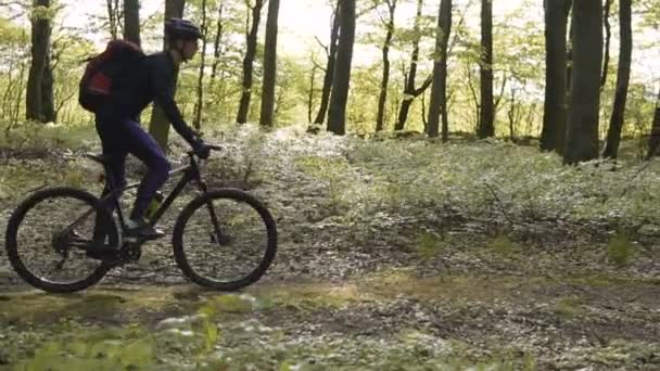 Mochilero hombre paseos bicicleta en el bosque — Vídeos de Stock