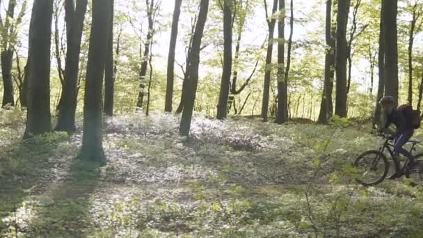 Mochilero hombre paseos bicicleta en el bosque — Vídeos de Stock