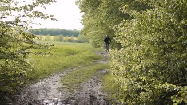 Backpacked Man ritten fiets in het bos — Stockvideo