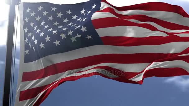 Flagge der USA — Stockvideo