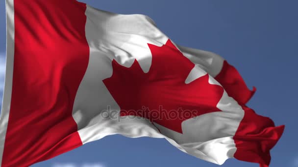 Canadian Blowing Flag — Stock Video