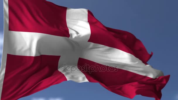 Vlag van Denemarken — Stockvideo